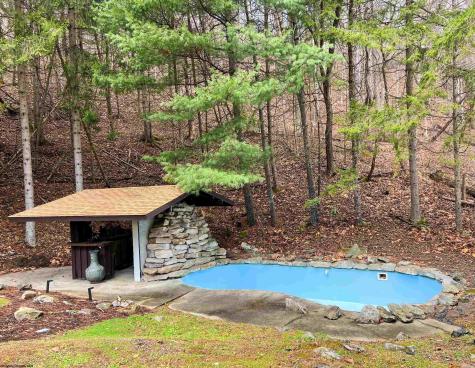 6867 Seneca Trail Parsons WV 26287-0000