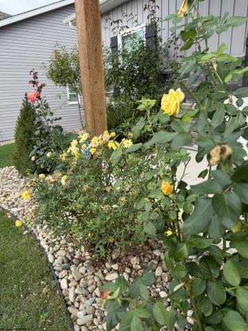 222 Crimson Lane Bridgeport WV 26330