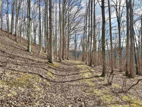 3938 Saint Clara Road Alum Bridge WV 26321