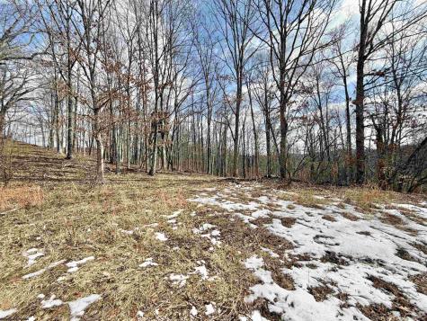 3938 Saint Clara Road Alum Bridge WV 26321
