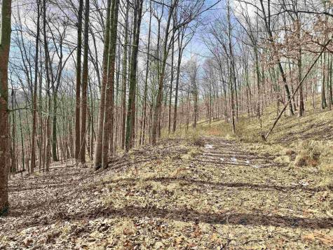 3938 Saint Clara Road Alum Bridge WV 26321