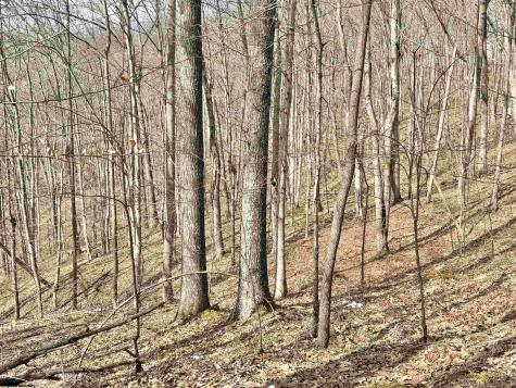 3938 Saint Clara Road Alum Bridge WV 26321