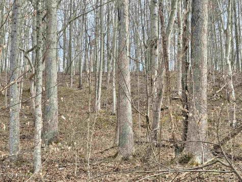 3938 Saint Clara Road Alum Bridge WV 26321
