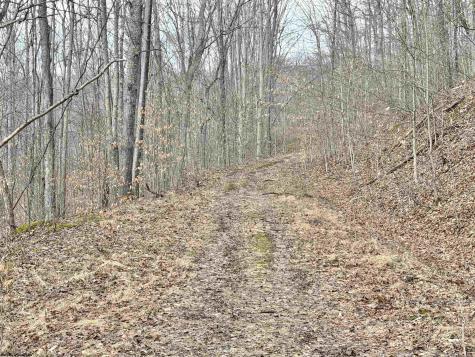 3938 Saint Clara Road Alum Bridge WV 26321