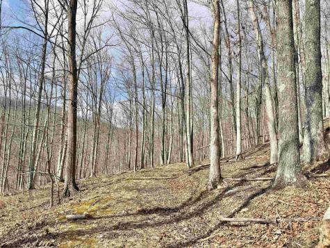 3938 Saint Clara Road Alum Bridge WV 26321