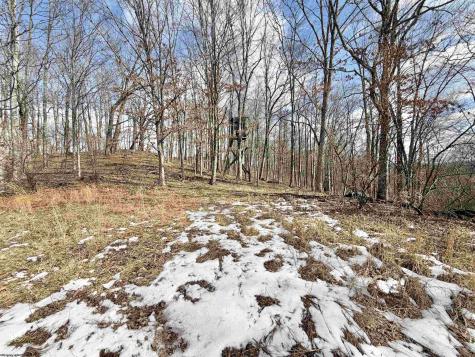 3938 Saint Clara Road Alum Bridge WV 26321