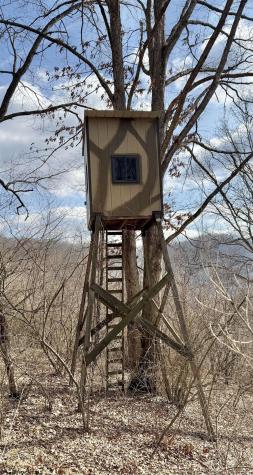 3938 Saint Clara Road Alum Bridge WV 26321
