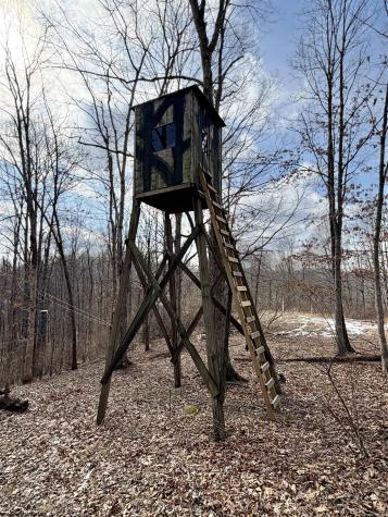 3938 Saint Clara Road Alum Bridge WV 26321