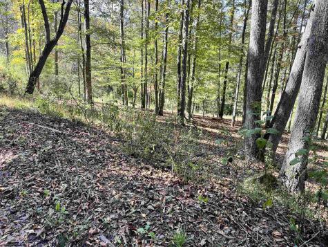 534 Millstone Road Crawford WV 26343