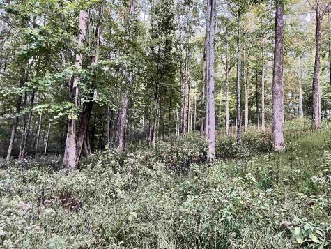534 Millstone Road Crawford WV 26343