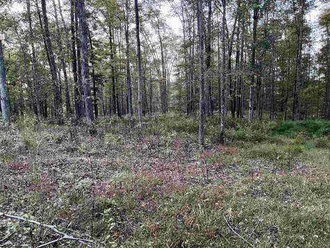534 Millstone Road Crawford WV 26343