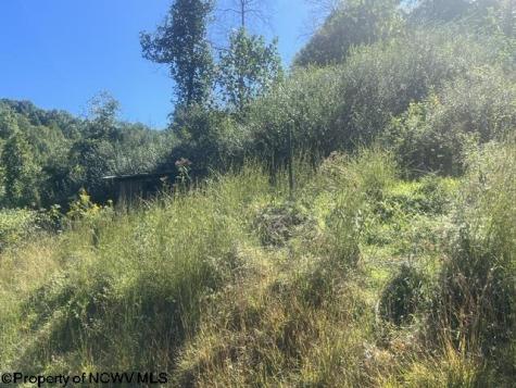 167 Penny Lane Salem WV 26426