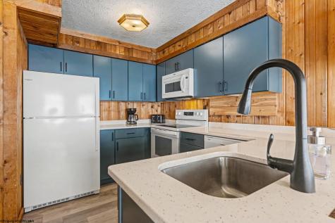 53 Ski In Court Davis WV 26260