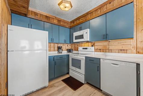 53 Ski In Court Davis WV 26260