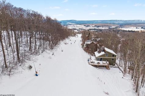 53 Ski In Court Davis WV 26260