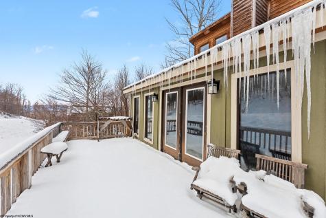 53 Ski In Court Davis WV 26260