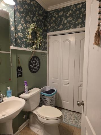 264 Riverdale Drive Shinnston WV 26431