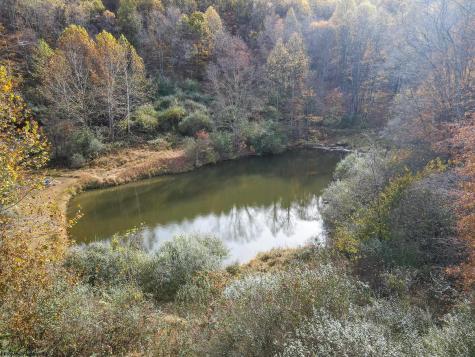 302 Smokey Mountain Road Lost Creek WV 26385