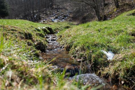 105 Helmsdale Road French Creek WV 26218