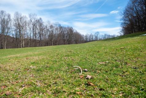 105 Helmsdale Road French Creek WV 26218