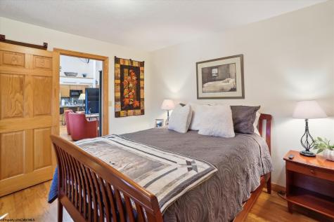 79 Sunfish Court Davis WV 26260