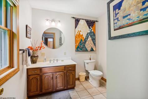 79 Sunfish Court Davis WV 26260