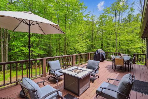 79 Sunfish Court Davis WV 26260