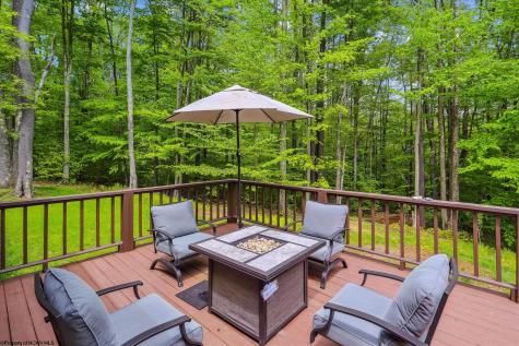 79 Sunfish Court Davis WV 26260