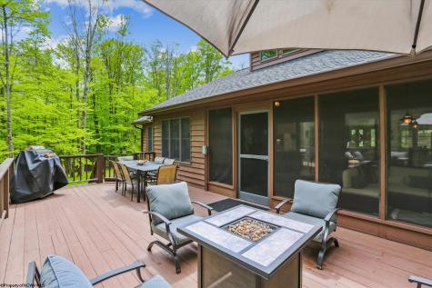 79 Sunfish Court Davis WV 26260
