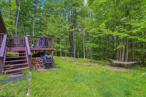79 Sunfish Court Davis WV 26260
