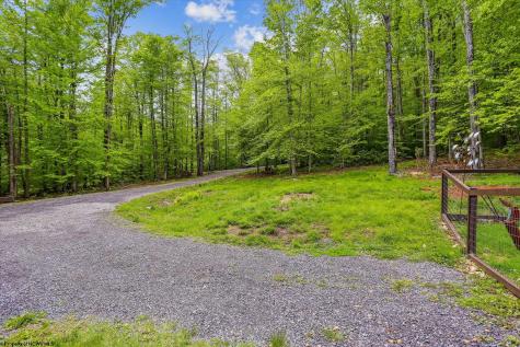 79 Sunfish Court Davis WV 26260