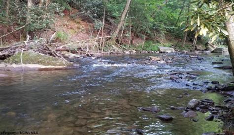 0 Adolph Road Helvetia WV 26224