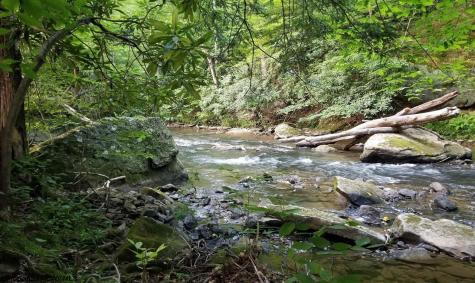 0 Adolph Road Helvetia WV 26224