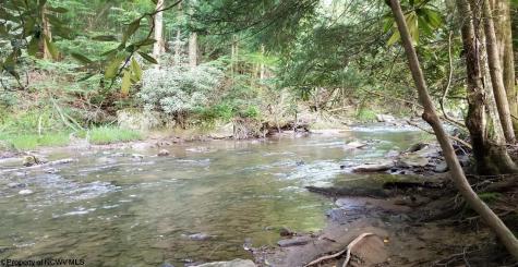 0 Adolph Road Helvetia WV 26224