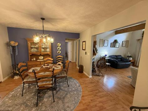 250 Timber Ridge Drive Elkins WV 26241