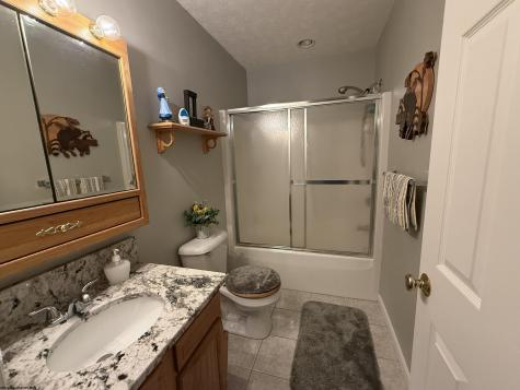 250 Timber Ridge Drive Elkins WV 26241