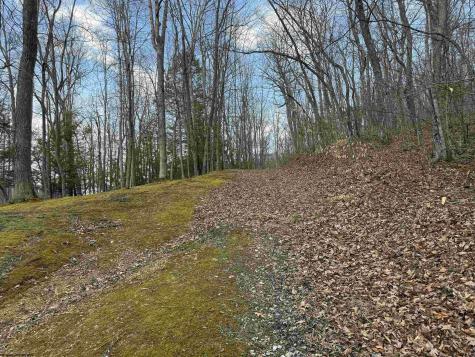 250 Timber Ridge Drive Elkins WV 26241
