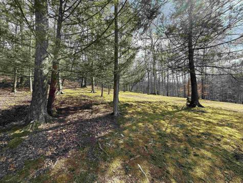 250 Timber Ridge Drive Elkins WV 26241