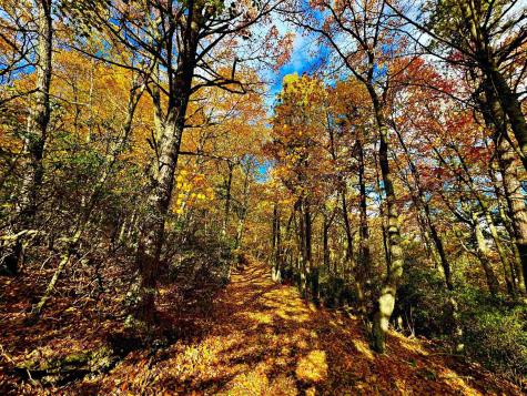 483 High Road Franklin WV 26807