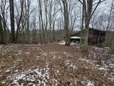 2 Fox Ridge Road Elkins WV 26241