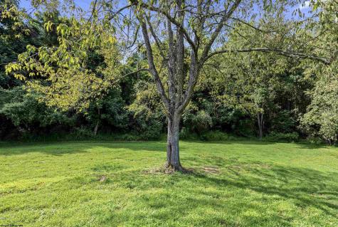 2595 Big Run Road Walkersville WV 26447-8159