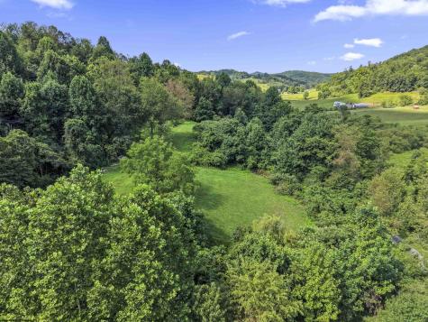 2595 Big Run Road Walkersville WV 26447-8159