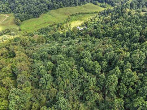 2595 Big Run Road Walkersville WV 26447-8159