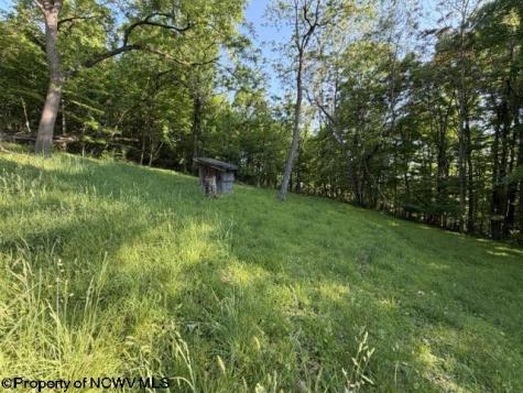 193 Halpine Street Morgantown WV 26505