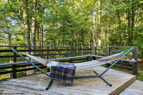 378 Sand Run Road Davis WV 26260
