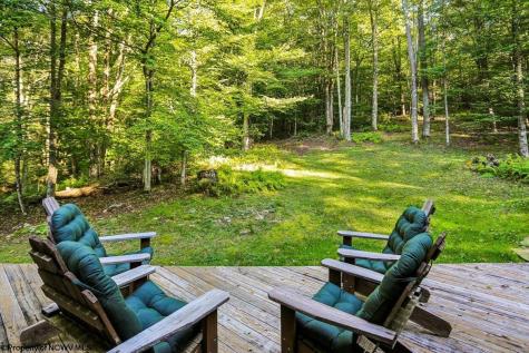 378 Sand Run Road Davis WV 26260