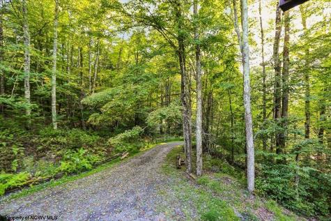 378 Sand Run Road Davis WV 26260