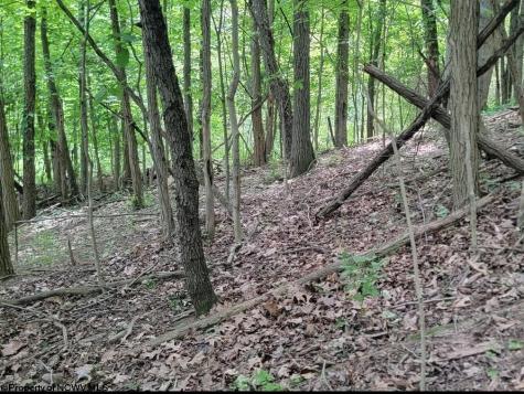 46 Pounds Hollow Road Morgantown WV 26508