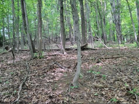 46 Pounds Hollow Road Morgantown WV 26508