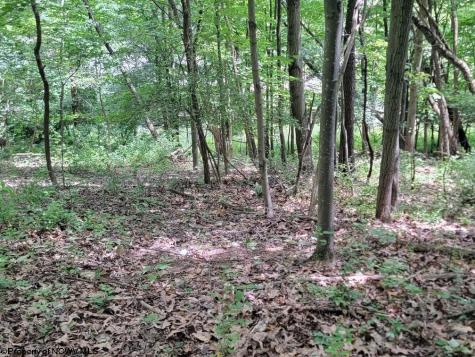 46 Pounds Hollow Road Morgantown WV 26508